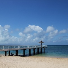 市川キャンパス石垣島宿泊学習のお知らせ♪